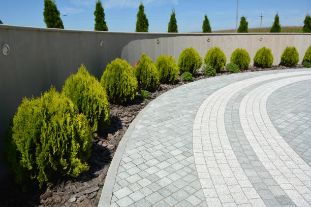 Reliable Kapaau, HI Driveway Pavers Solutions